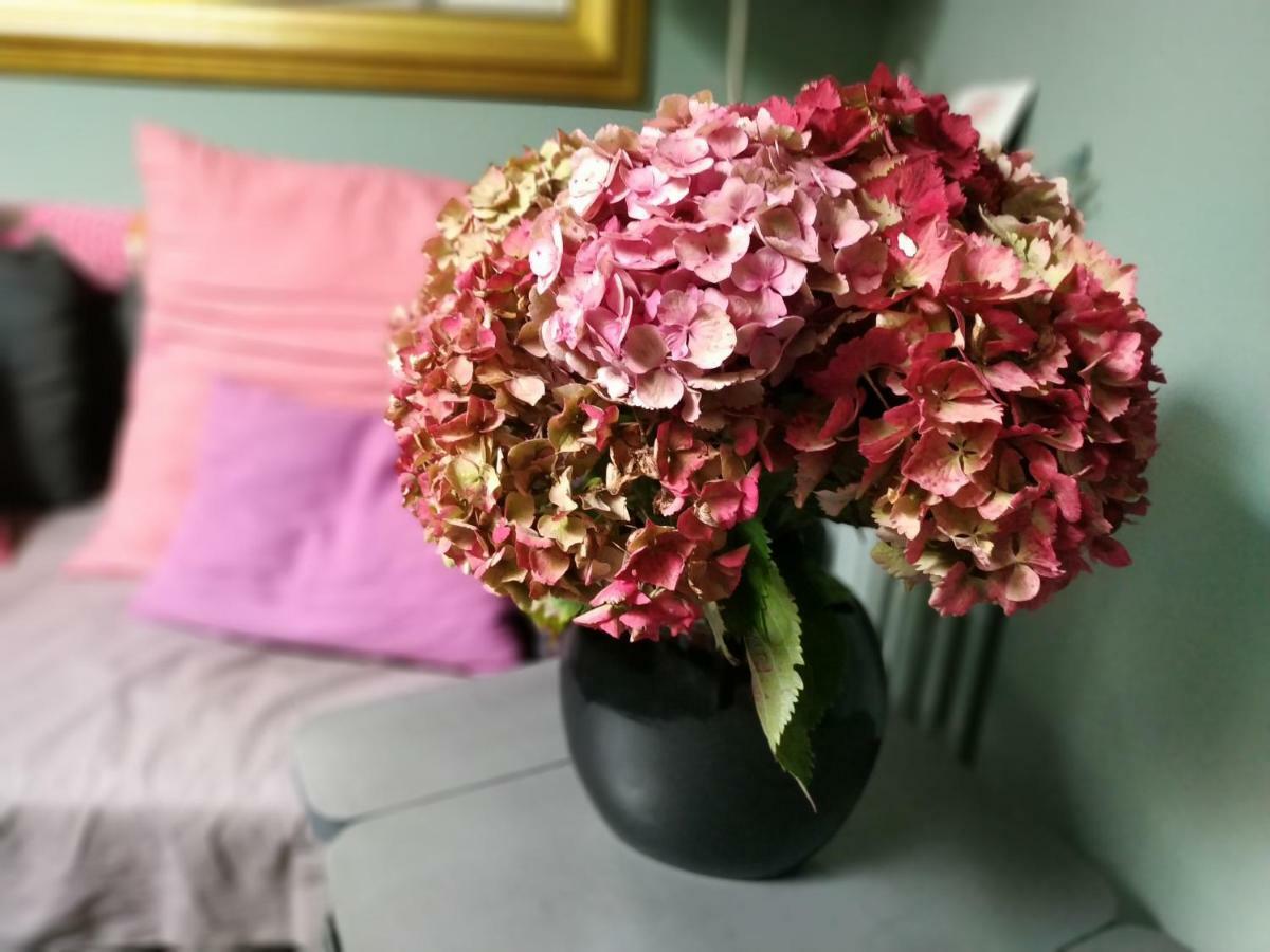 Chez Anne Apartment Fécamp Екстериор снимка